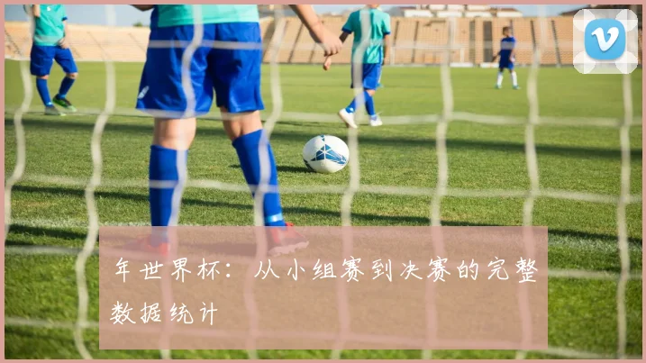 年世界杯：从小组赛到决赛的完整数据统计