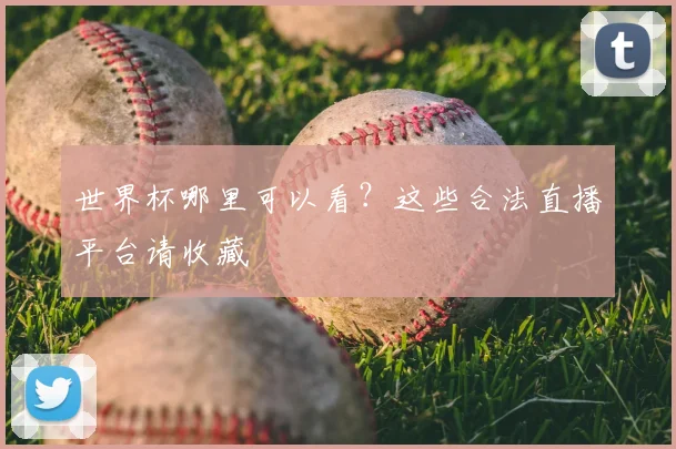世界杯哪里可以看？这些合法直播平台请收藏