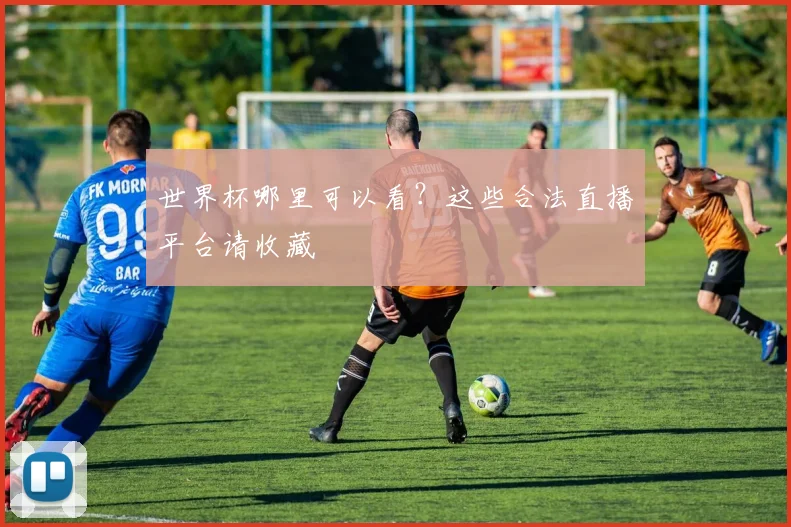 世界杯哪里可以看？这些合法直播平台请收藏