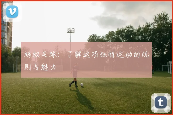 蚂蚁足球：了解这项独特运动的规则与魅力