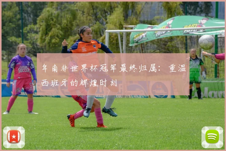 年南非世界杯冠军最终归属：重温西班牙的辉煌时刻