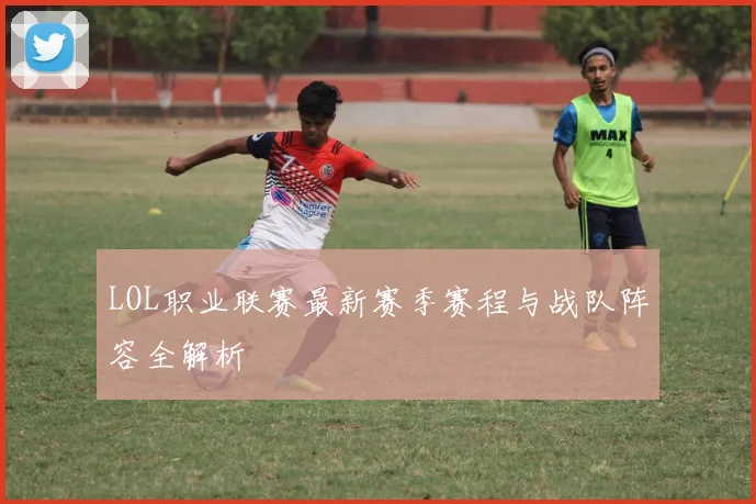 LOL职业联赛最新赛季赛程与战队阵容全解析