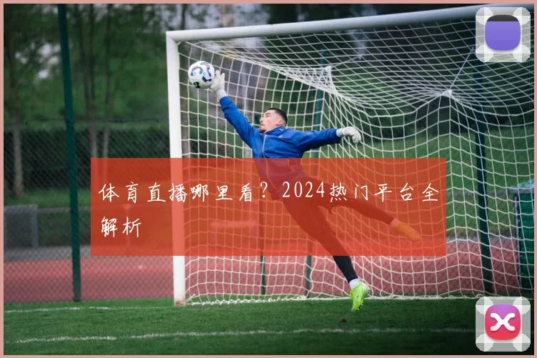体育直播哪里看？2024热门平台全解析